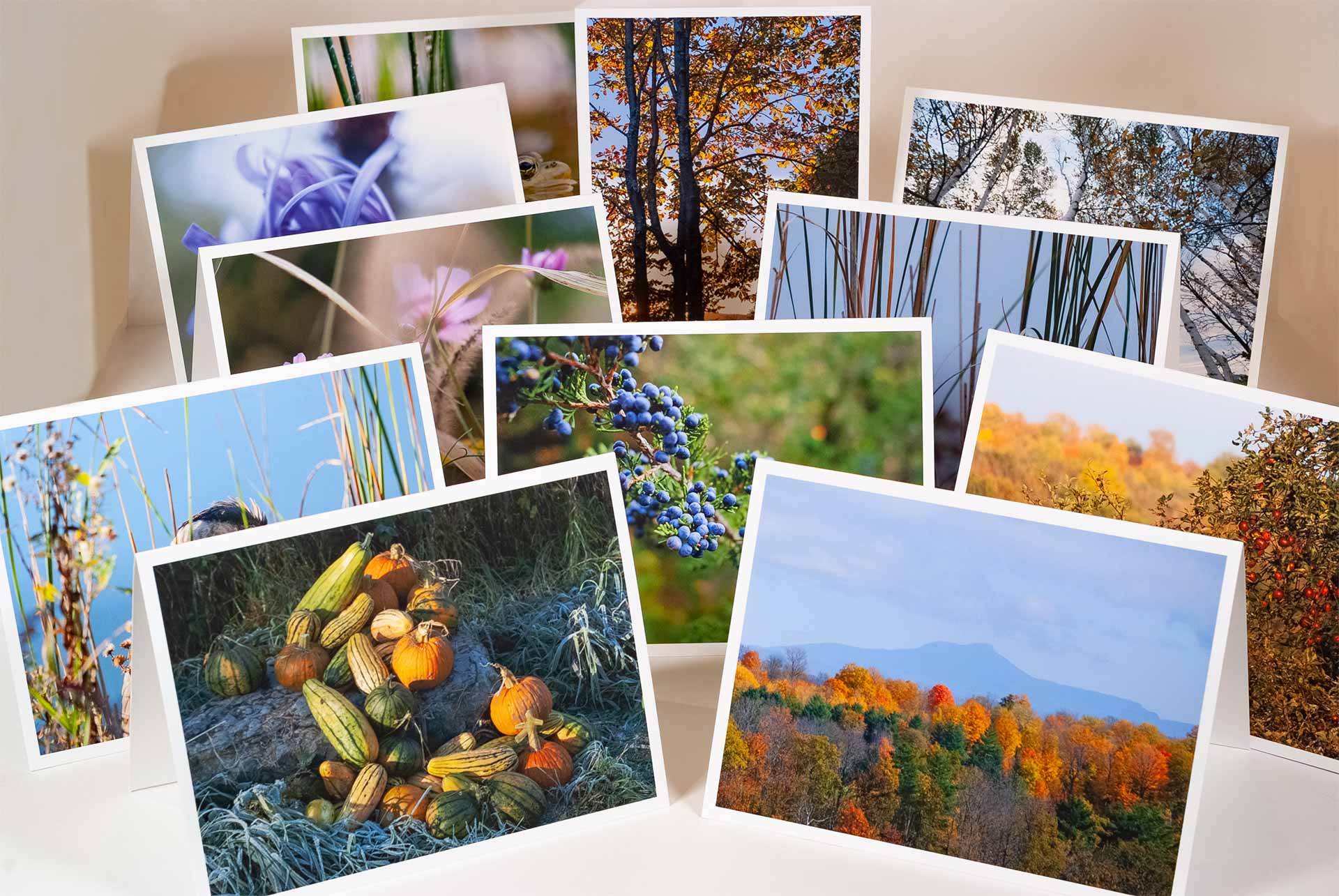 BALPhoto-autumn-header